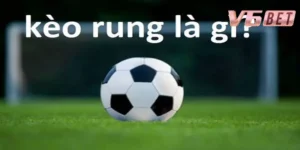 Đôi nét về kèo rung V6Bet